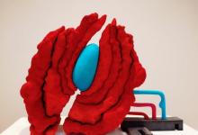 贝浩登画廊18