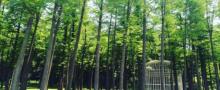 月湖雕塑公园10