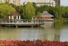 虹桥公园9