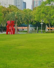 虹桥公园11