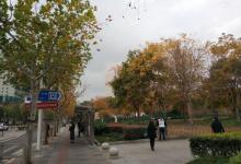 虹桥公园13