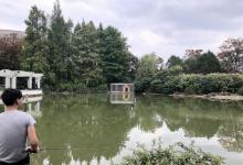 虹桥公园23