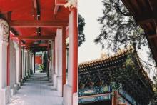 嘉定孔庙10