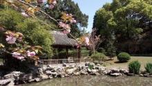 复兴岛公园29
