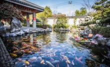 万佛寺3