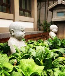 万佛寺8