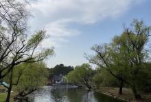 共青森林公园八仙花园1