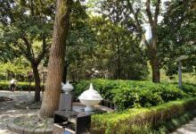 淮海公园21