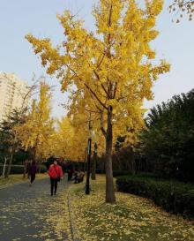 曲阳公园4