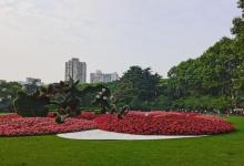 鲁迅墓7