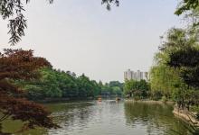鲁迅墓16