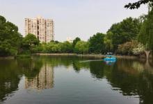 鲁迅墓17