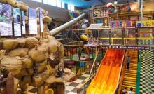 卡通尼・Safari非洲探索乐园(上海金桥店)4