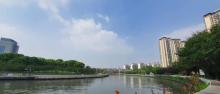 虹桥河滨公园1