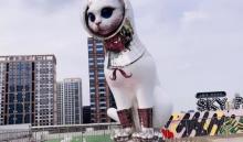 Sky Park 高登公园9