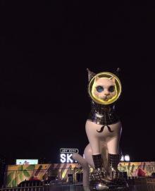 Sky Park 高登公园14