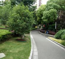 爱思儿童公园7