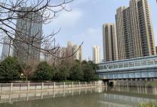 爱思儿童公园12