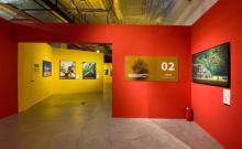 「完整版」国家地理经典影像大展-上海站3