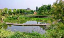 彩虹湾公园5