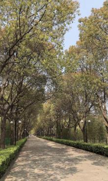 汽车博览公园13