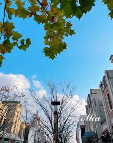 比斯特上海购物村11
