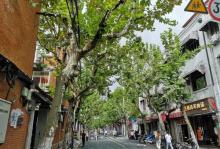 山阴路8