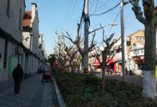 山阴路25