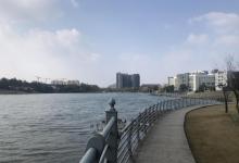 金罗店美兰湖景区32