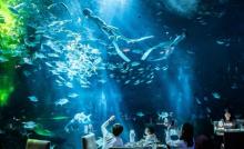 上海海昌海洋公园5