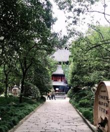 秋霞圃9
