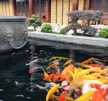 朵云书院(广富林店)18