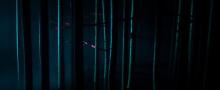 不眠之夜Sleep No More15