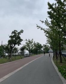 上海船厂滨江绿地28