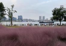 上海船厂滨江绿地24