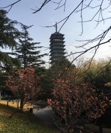 淞沪抗战纪念馆20