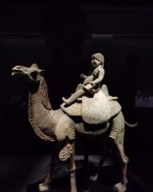 震旦博物馆21