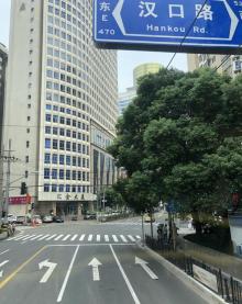 BUS TOUR 上海观光游27