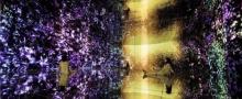 EPSON teamLab 无界美术馆22