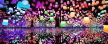 EPSON teamLab 无界美术馆24