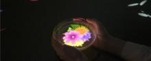EPSON teamLab 无界美术馆12