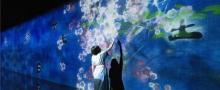 EPSON teamLab 无界美术馆17