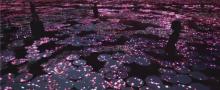 EPSON teamLab 无界美术馆28