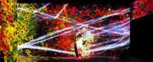 EPSON teamLab 无界美术馆29