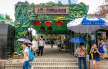 上海大自然野生昆虫馆24