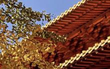 静安寺26