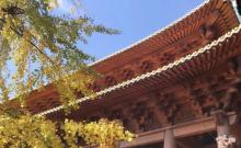 静安寺27