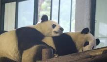 上海动物园20