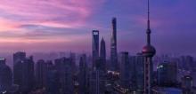 金茂大厦8