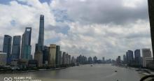 金茂大厦19